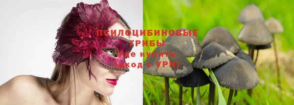синтетический гашиш Алексин