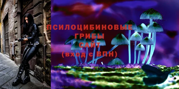 гашишное масло Алексеевка
