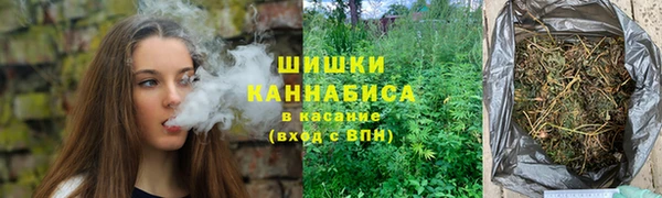 СК Медногорск