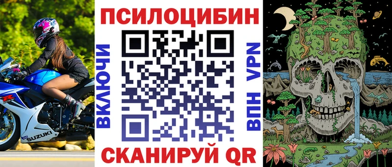 Псилоцибиновые грибы GOLDEN TEACHER  Александровское 