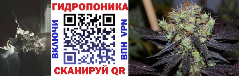 Марихуана индика  Александровское 
